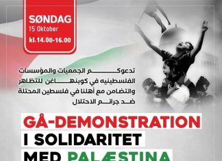 Demonstration Copenhagen 15/10